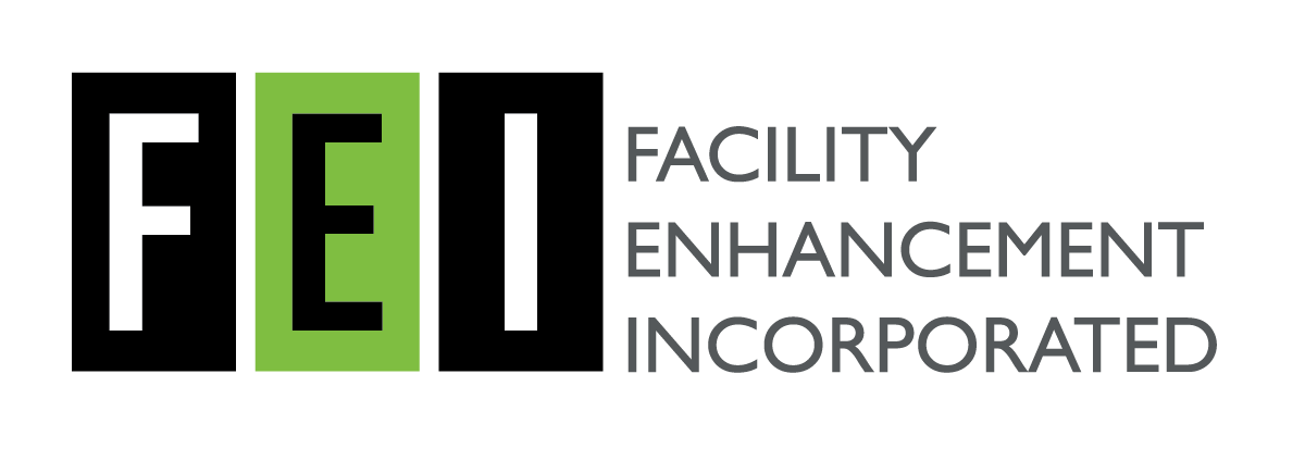 FEI_Logo